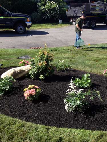 flower bed with dump truck