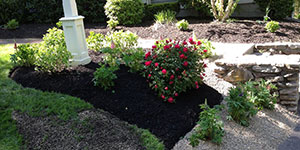 residential landscaping flower bed