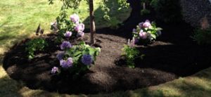 residential landscaping flower bed