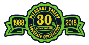 PVL 30th Anniversary Logo